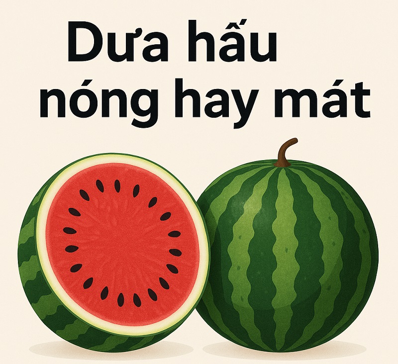 Dưa Hấu Nóng Hay Mát Dưa Hấu Nóng Hay Mát